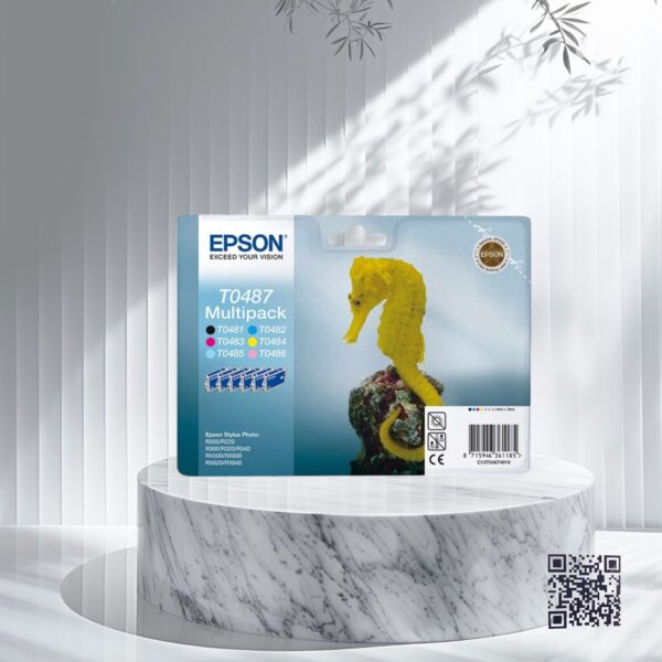 Epson-t0487