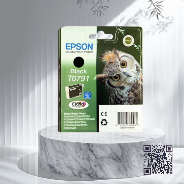 Epson-t0791-bk