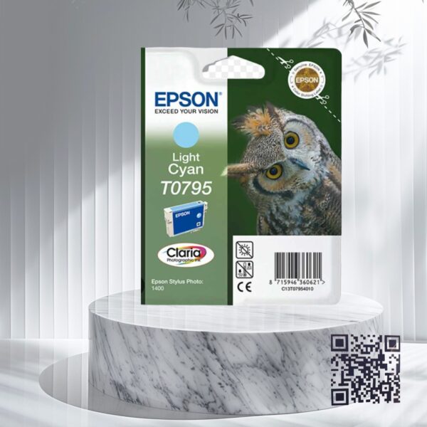 Epson-t0795-pc